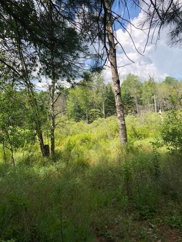 4830 Lund Road Southwest Fife Lake, MI 49633 - Photo 64 of 84 1850807-63.JPG