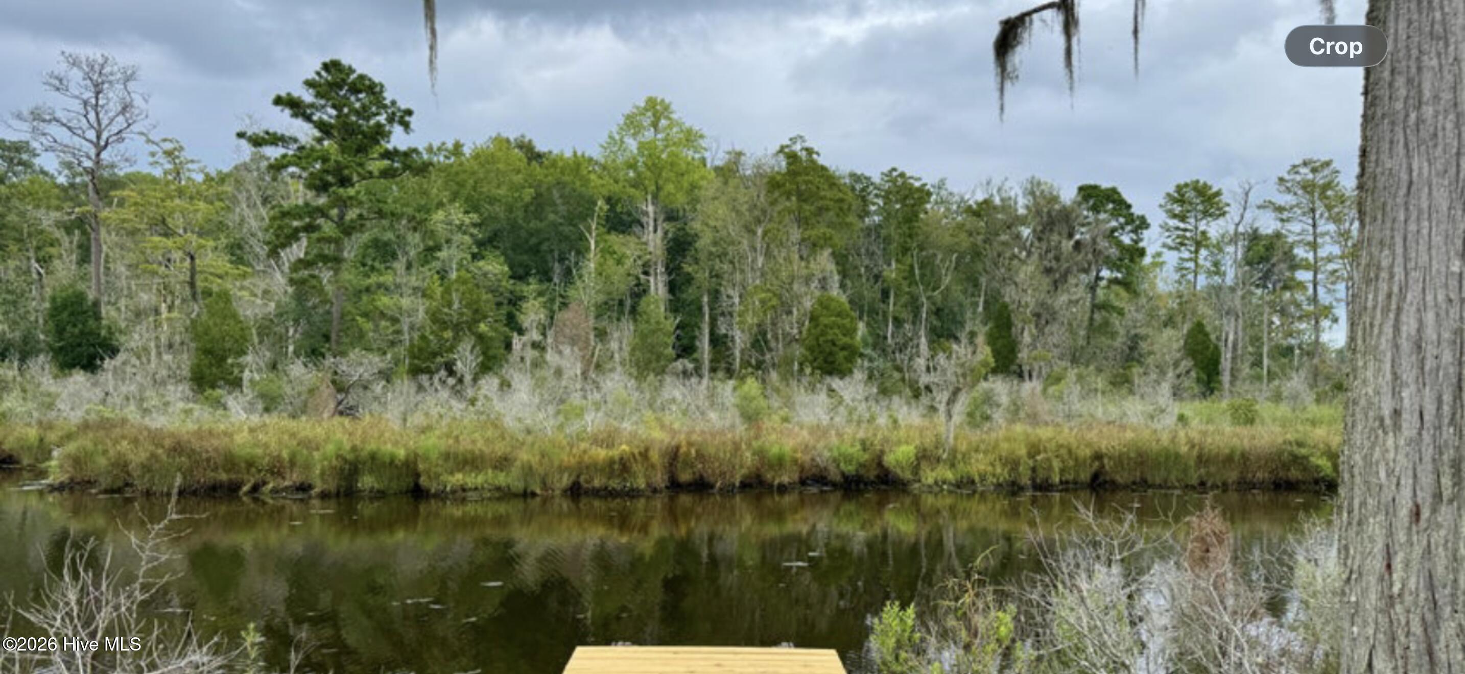 263 Treasure Point Road Bath, NC 27808 - Photo 22 of 24