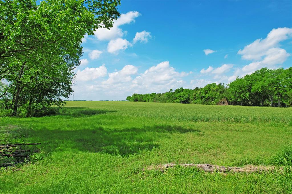 655 St Clair Road Ennis, TX 75119 - Photo 3 of 31