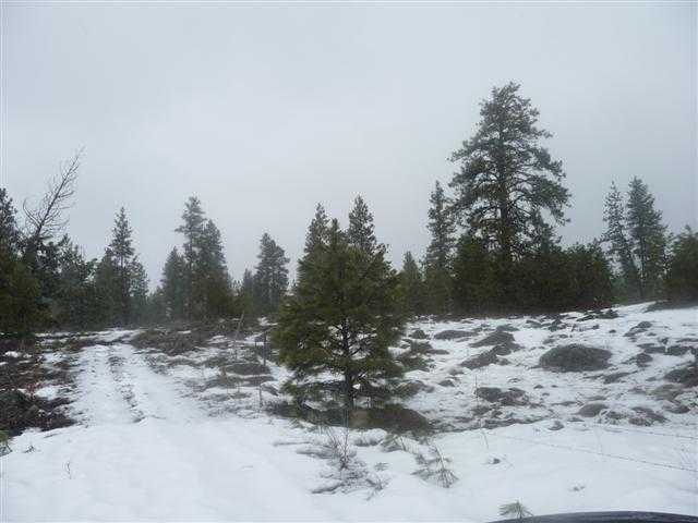 0 West Drumheller Road Cheney, WA 99004 - Photo 5 of 6
