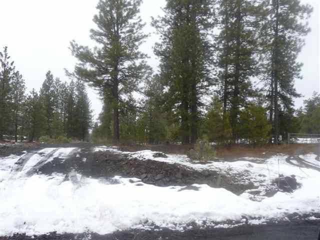 0 West Drumheller Road Cheney, WA 99004 - Photo 6 of 6
