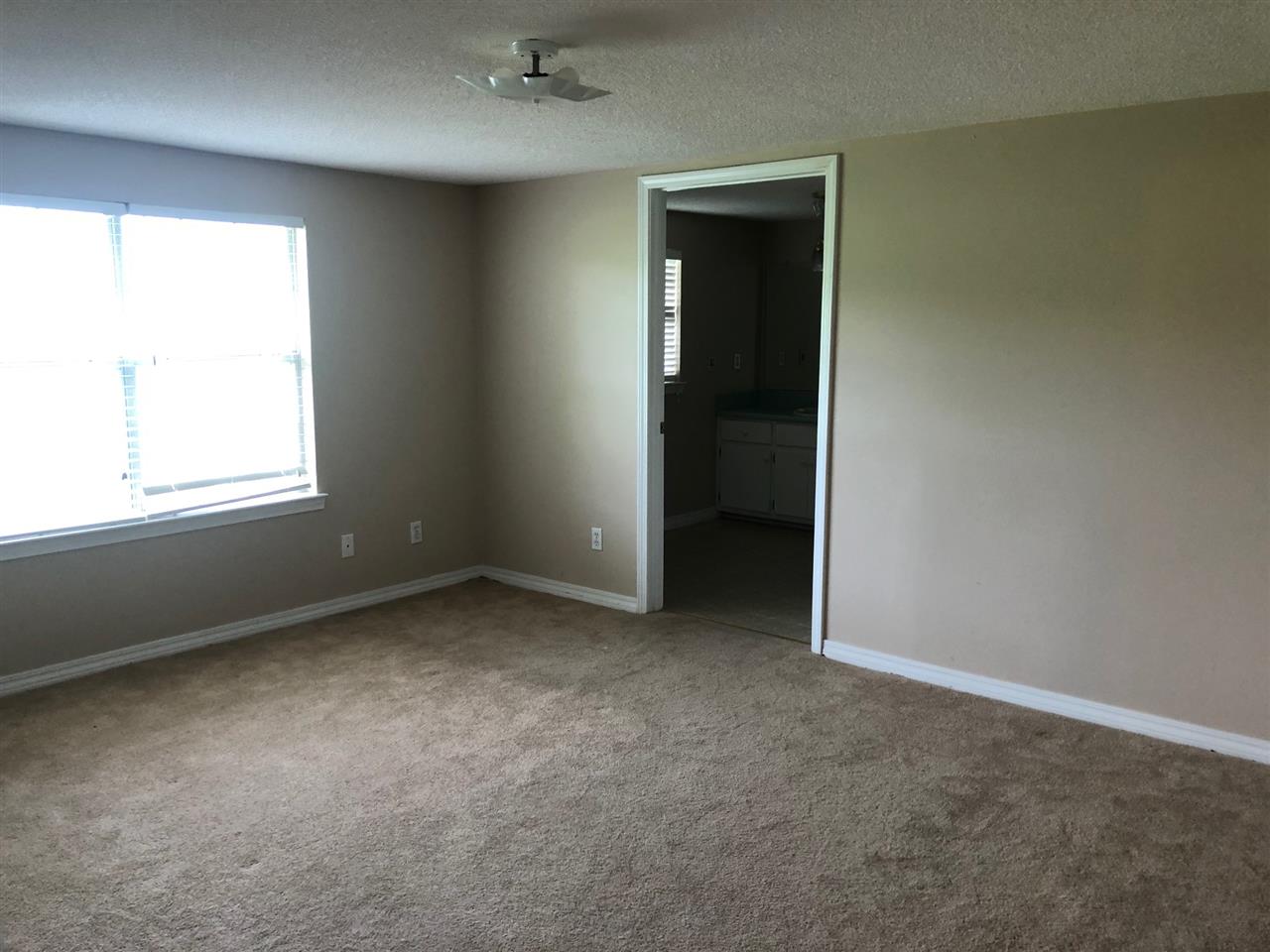 301 Pittman Road Opp, AL 36467 - Photo 6 of 19 Gallery Image 6