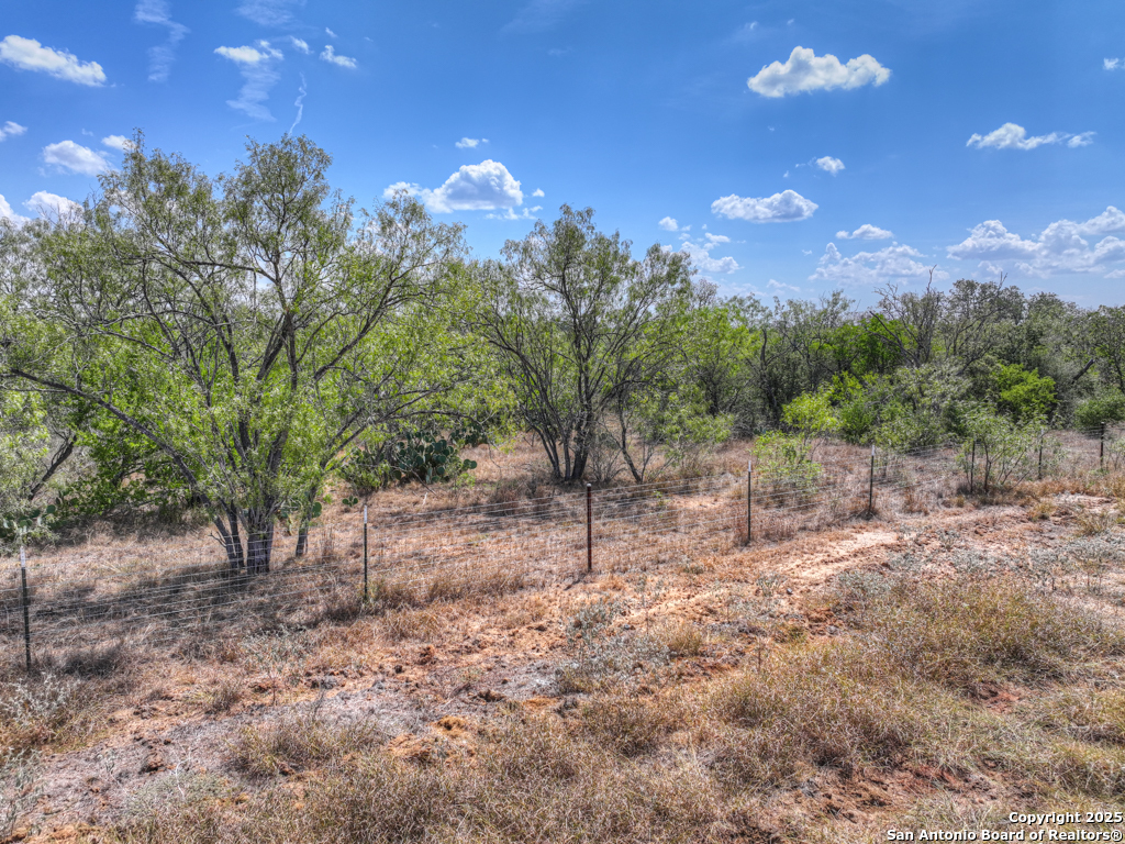 445 Single Oak Road Seguin, TX 78155 - Photo 11 of 20 a view of a forest with trees in the background