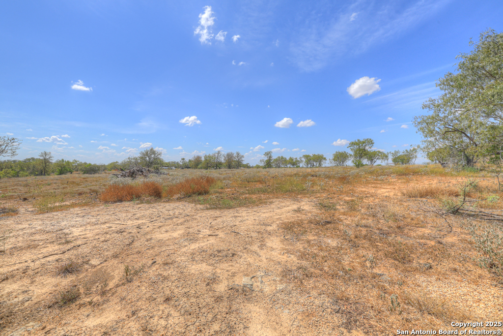 445 Single Oak Road Seguin, TX 78155 - Photo 14 of 20 a view of an lake and a yard