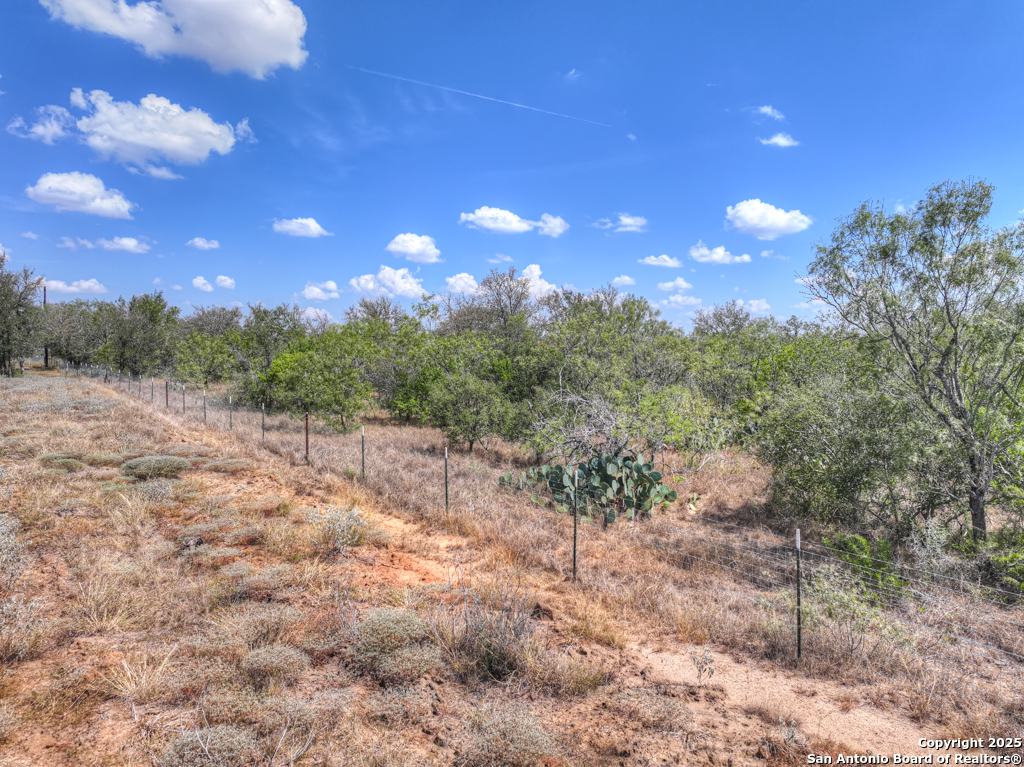 445 Single Oak Road Seguin, TX 78155 - Photo 10 of 20 a view of a yard with tree s
