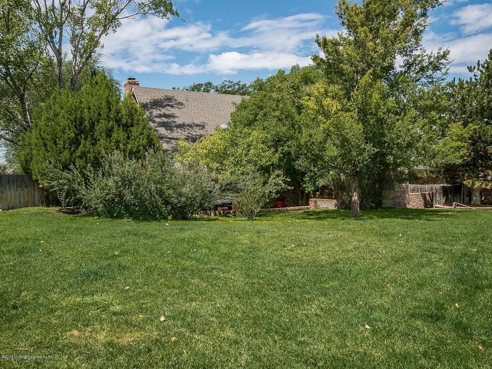 509 Fox Ridge Road Amarillo, TX 79118 - Photo 32 of 55 a view of a yard with a tree