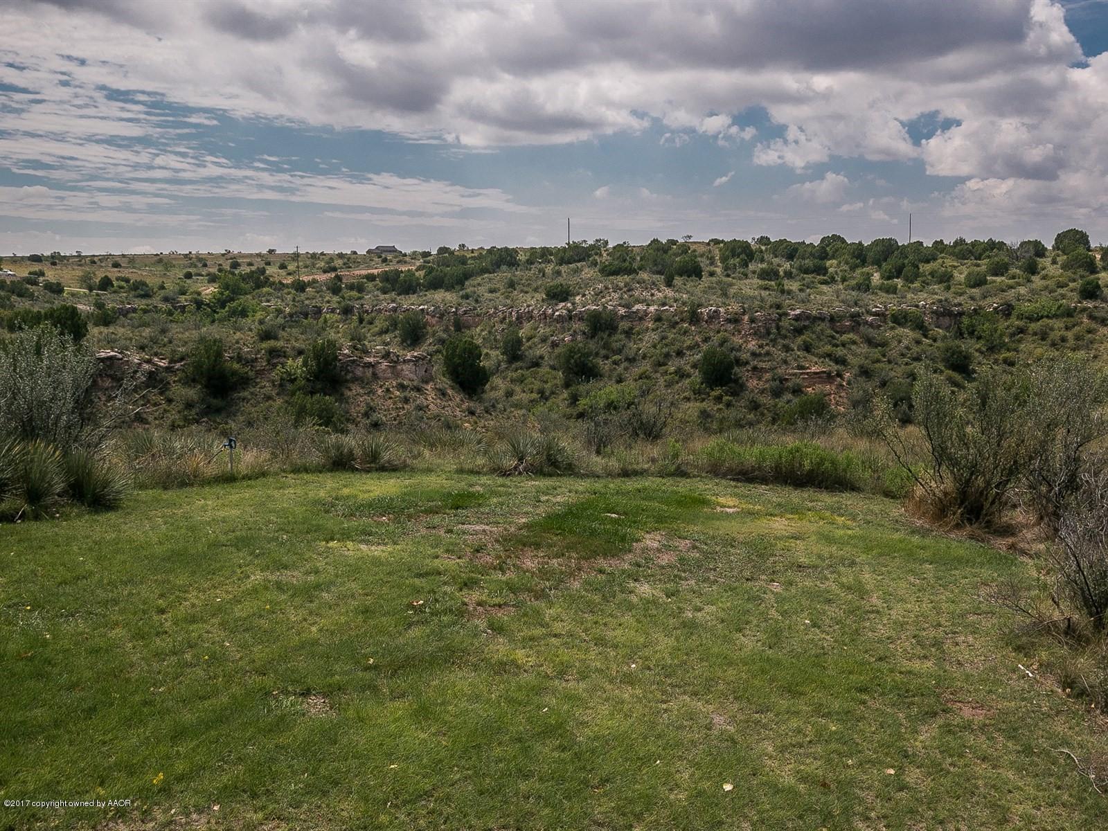 509 Fox Ridge Road Amarillo, TX 79118 - Photo 39 of 55 a view of a field with an trees