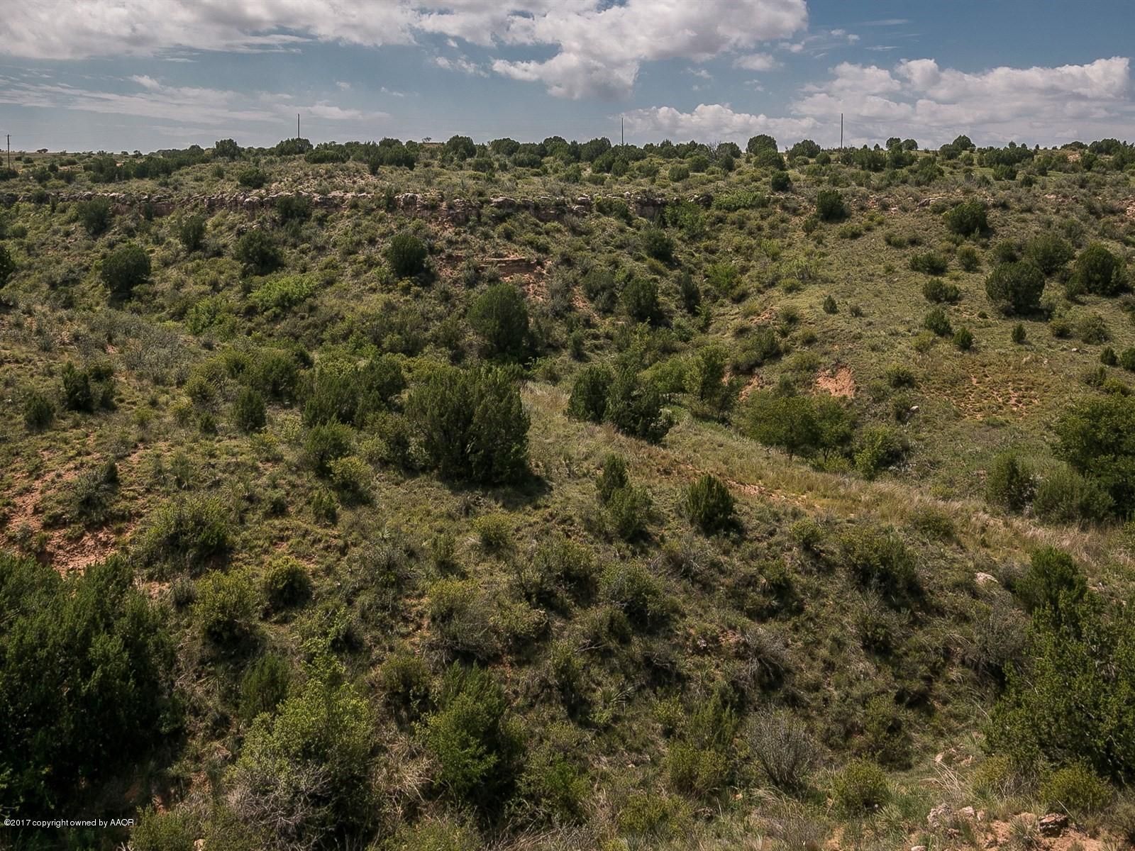 509 Fox Ridge Road Amarillo, TX 79118 - Photo 43 of 55 a view of a city with lush green forest