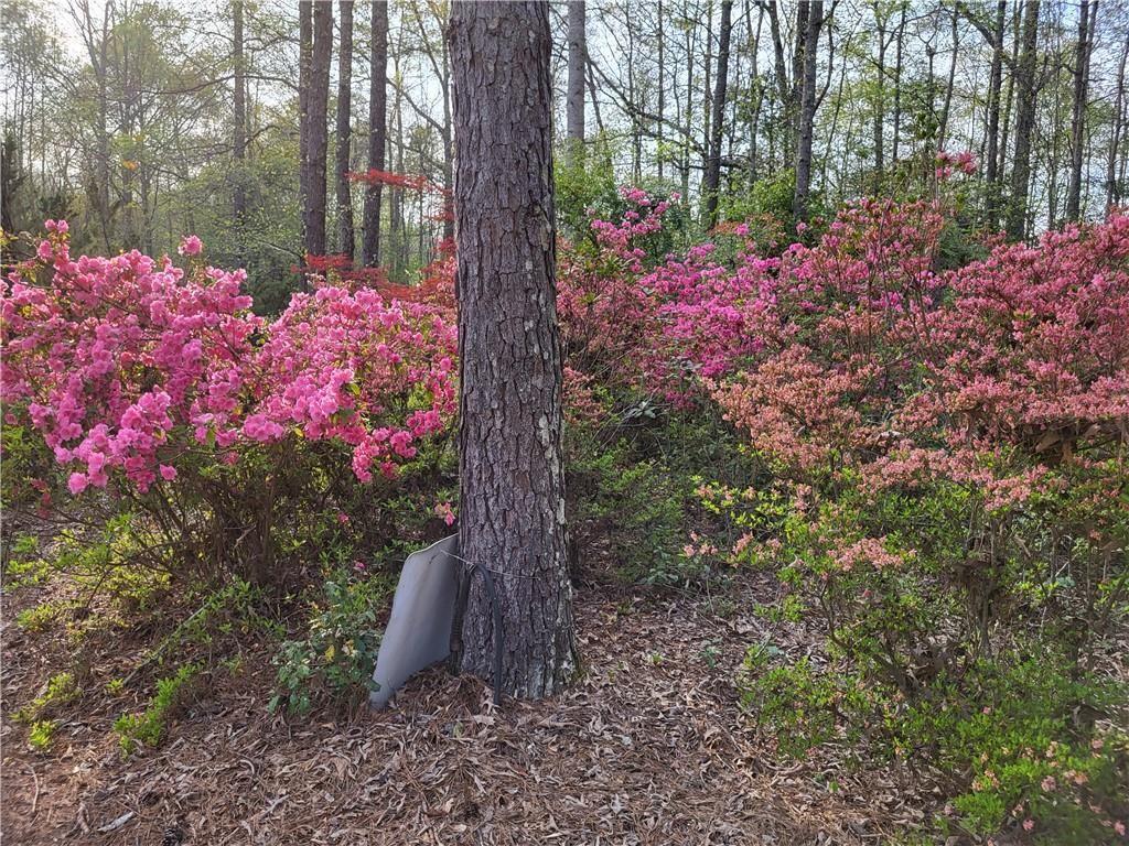 1555 Maple Ridge Drive Loganville, GA 30052 - Photo 10 of 69 Gallery Image 10