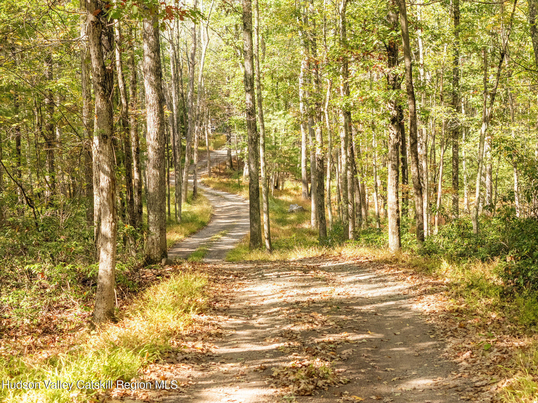 298 Stony Kill Road Accord, NY 12404 - Photo 37 of 43 2025-10-FreshAir-Stonykill-LawrenceBraun