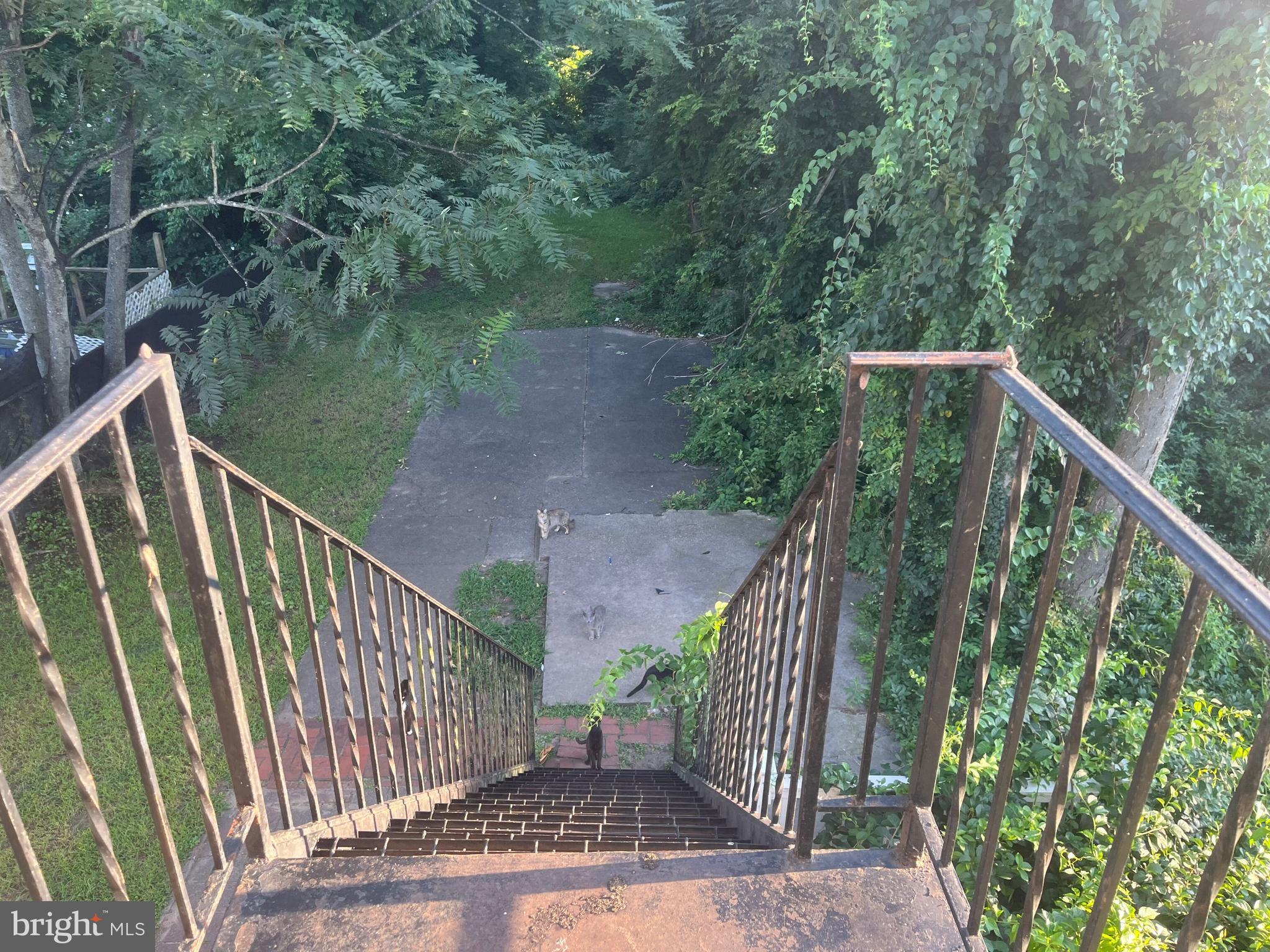 212 Rancocas Road Mount Holly, NJ 08060 - Photo 26 of 27 a view of a balcony with wooden floor