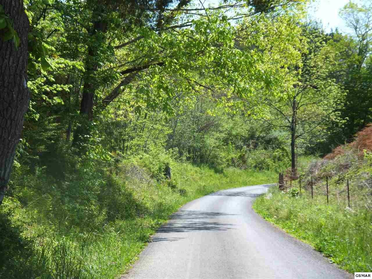 889 Marshall Hollow Road Bybee, TN 37713 - Photo 18 of 24 Gallery Image 18