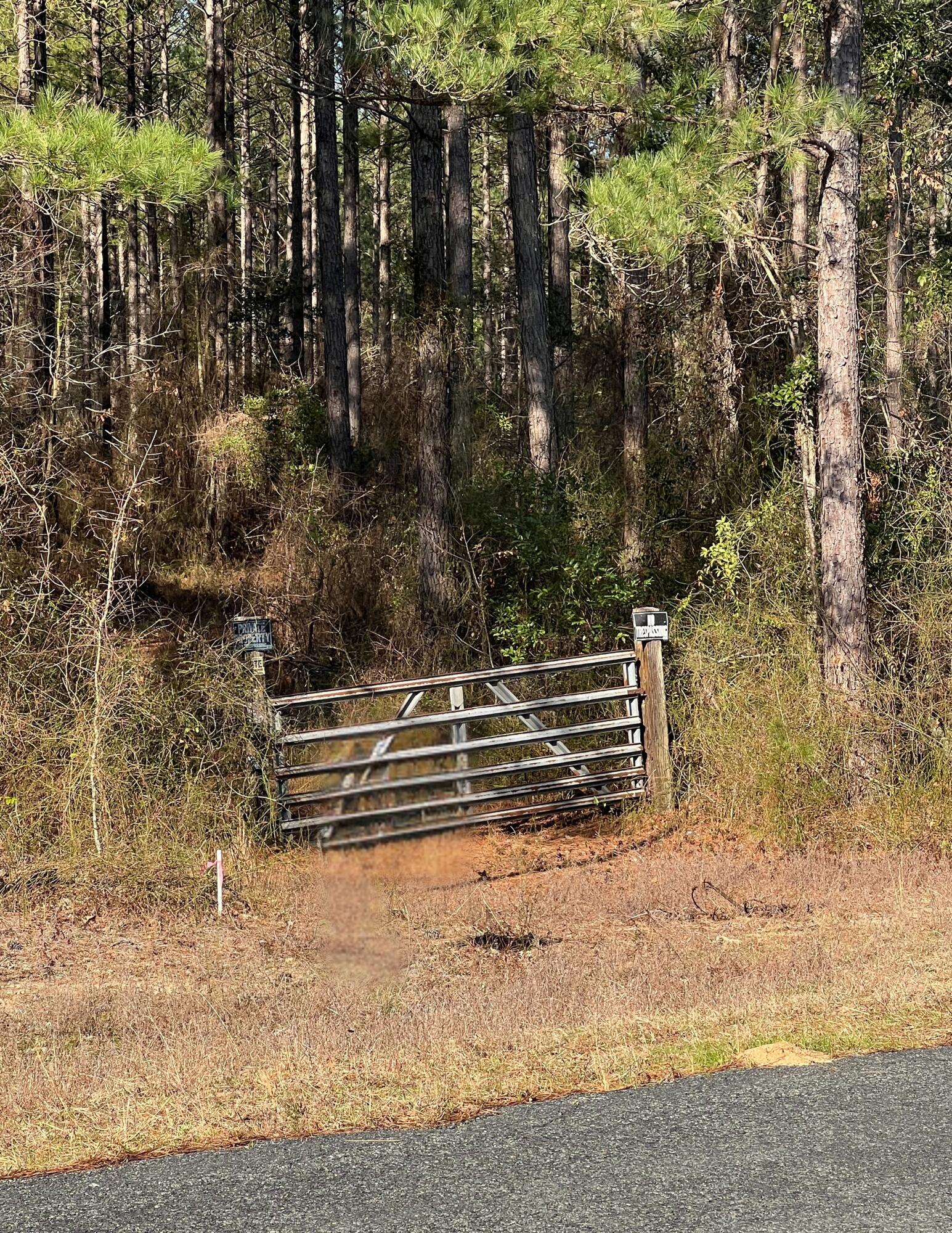 2 Poplar Springs Road Aiken, SC 29805 - Photo 3 of 5