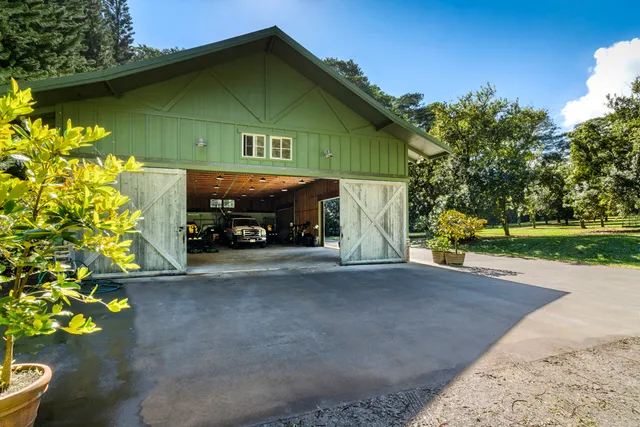 a view of a park with large trees