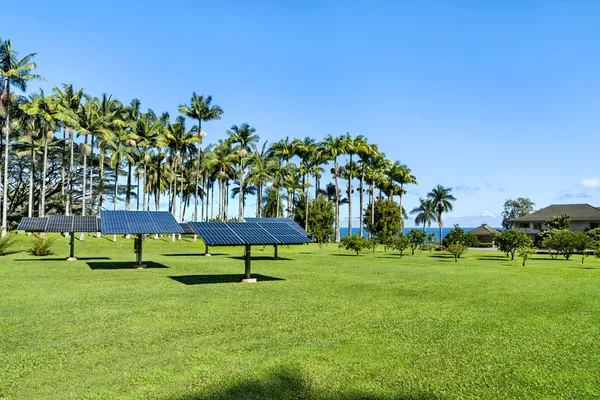 a view of a backyard of the house