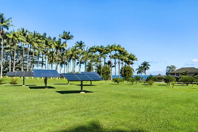 a view of a backyard of the house