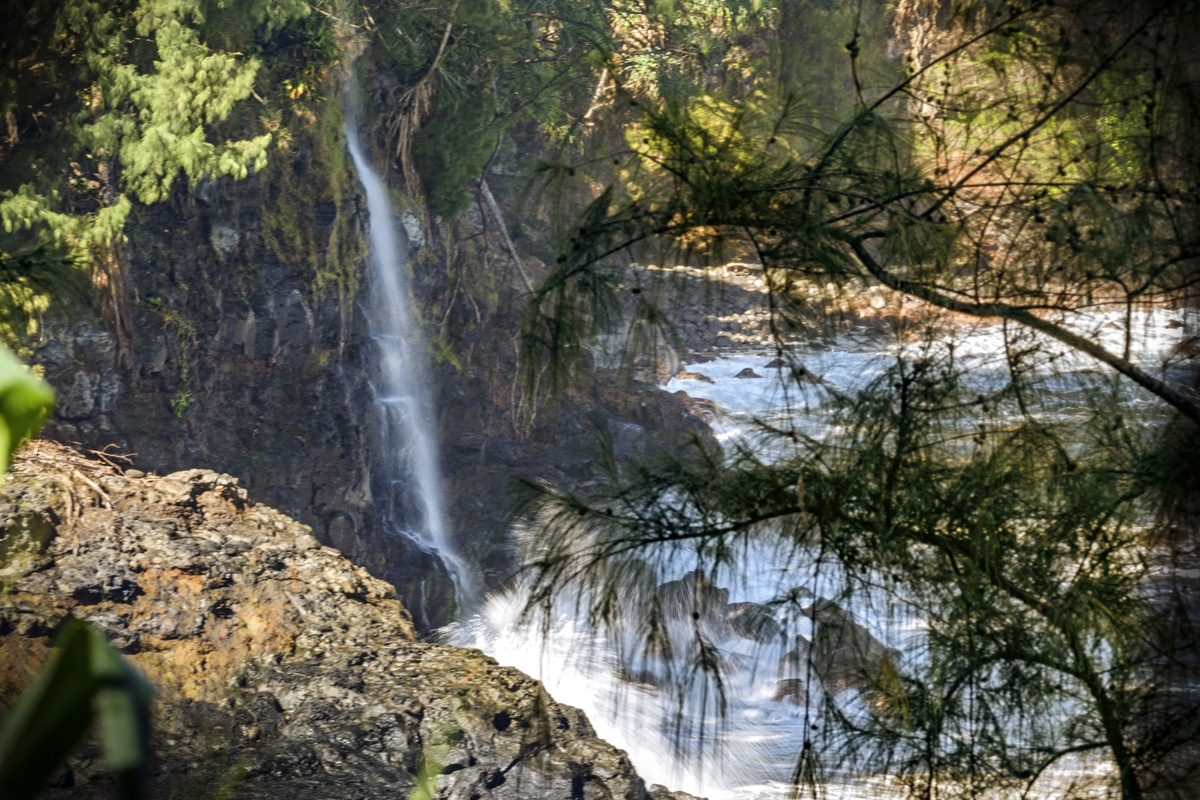 28-3628 Hawaiʻi Belt Road Honomu, HI 96728 - Photo 30 of 30 a view of a backyard of the house