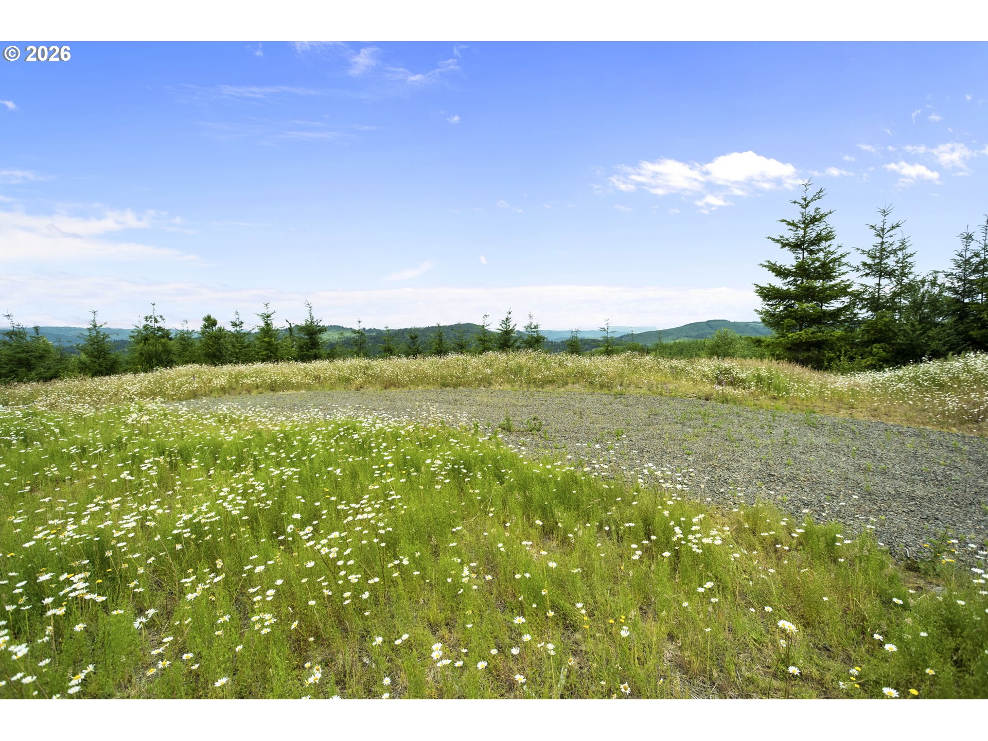 104 Bootjack Lane Kelso, WA 98626 - Photo 10 of 31 Home Site