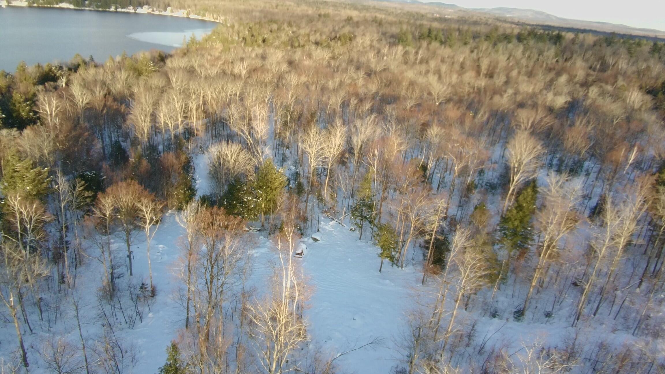 Map7-lot7 South Shore Road Abbot, ME 04406 - Photo 16 of 28 3321779_100DRONE_SING0109