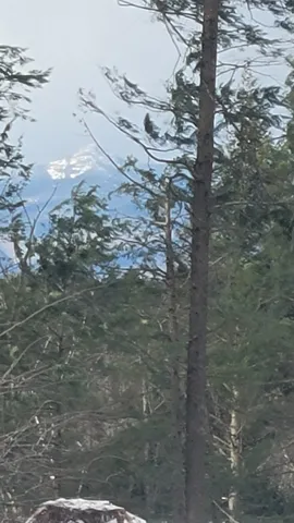 $475,000 | 91-95 Elm Street, Ossipee, NH 03864