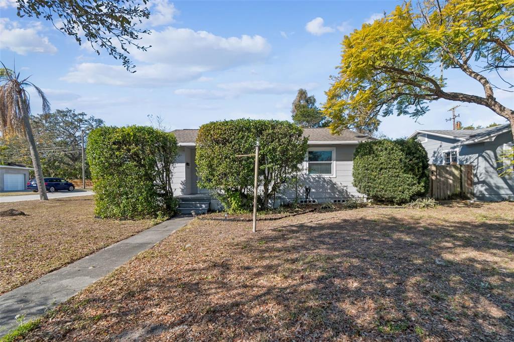 a view of a chairs and table in the backyard with large trees