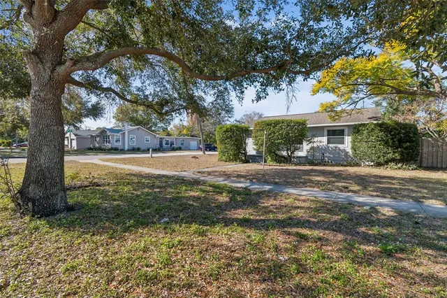 a view of a house with a backyard and a tree