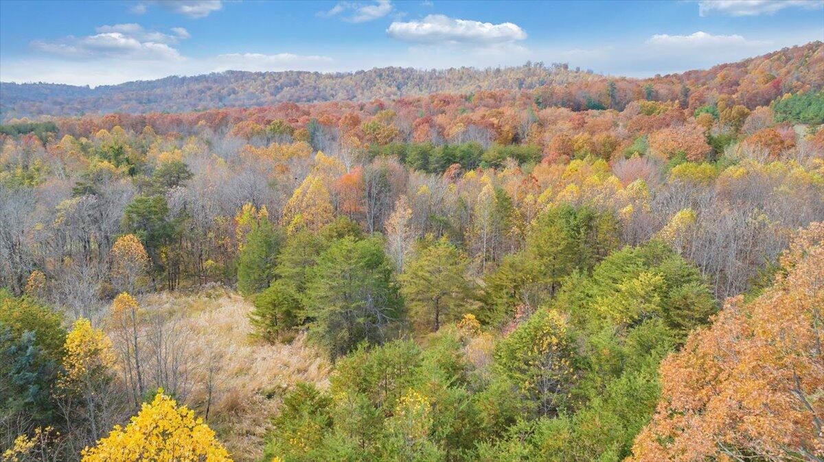 a view of lake and mountain