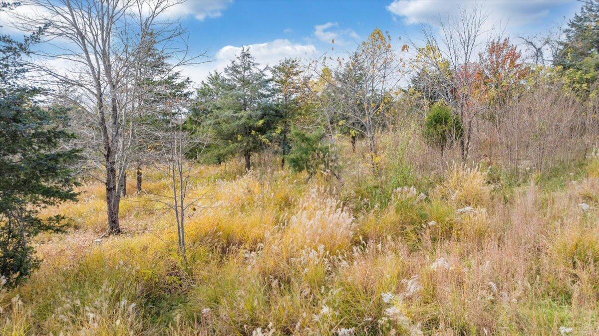 0 Briar Mountain Road Rocky Mount, VA 24151 - Photo 14 of 23 16-DJI_20251108002436_0019_D