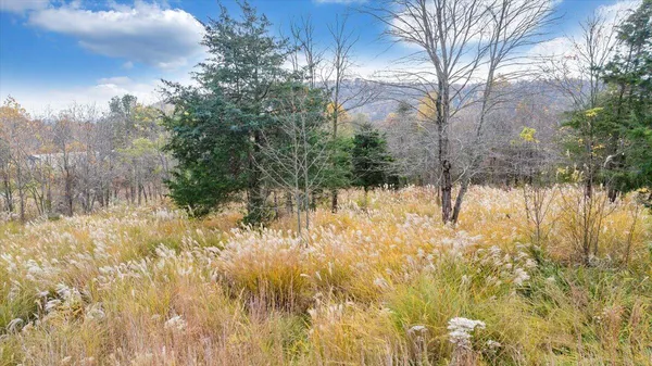 $140,000 | 0 Briar Mountain Road, Rocky Mount, VA 24151