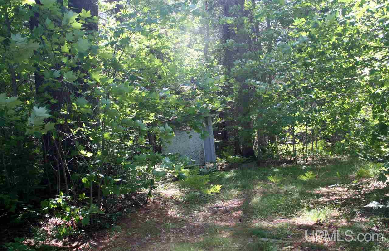 E6450 East Cook's Lake Road Munising, MI 49862 - Photo 15 of 23