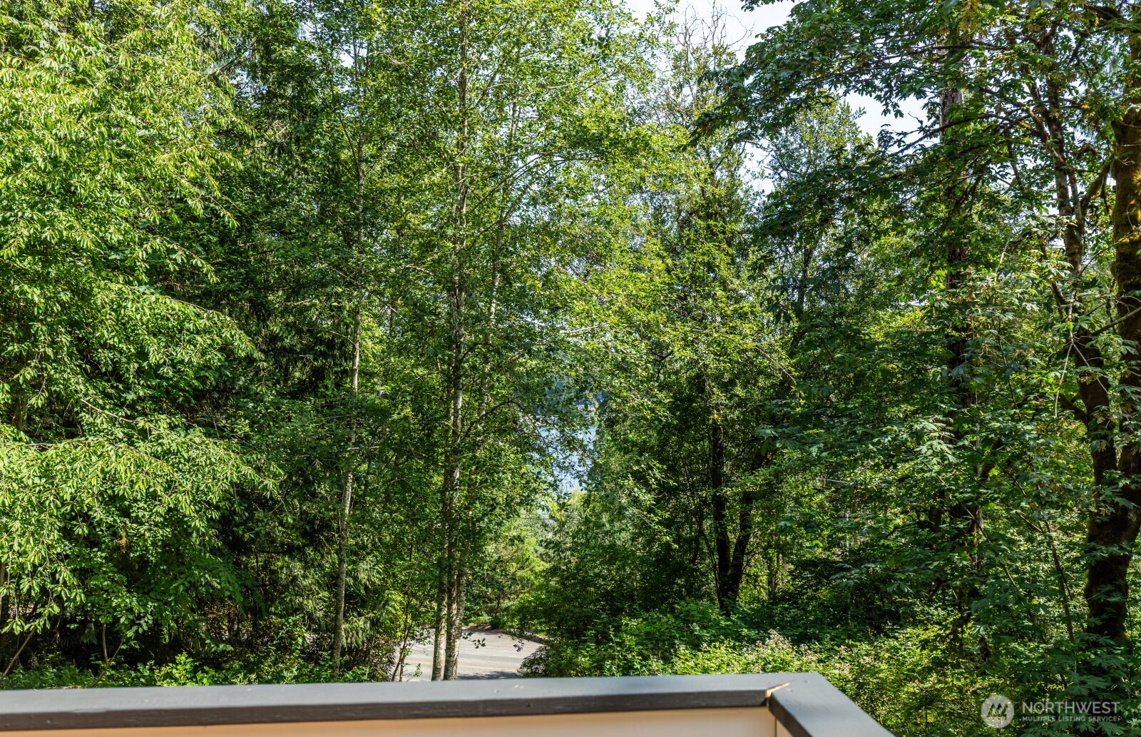 7605 Northeast Hidden Cove Road Bainbridge Island, WA 98110 - Photo 25 of 36 a view of a yard with a tree