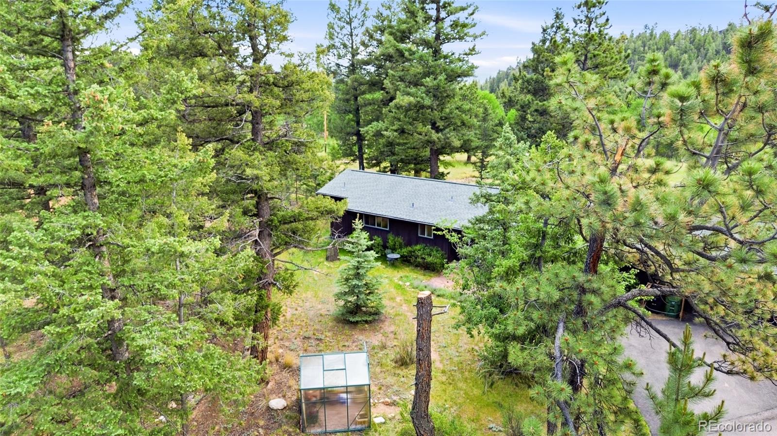 31280 Florence Road Conifer, CO 80433 - Photo 35 of 48 a view of a back yard from a garden