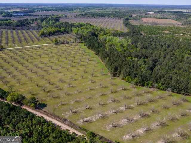 $416,850 | 0 Kermit Road, Cobbtown, GA 30420