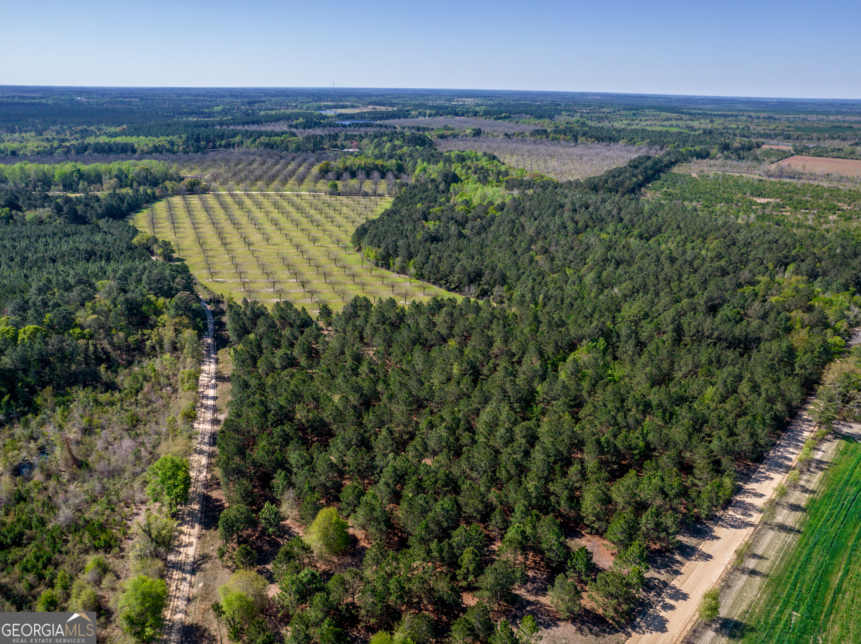 0 Kermit Road Cobbtown, GA 30420 - Photo 2 of 12