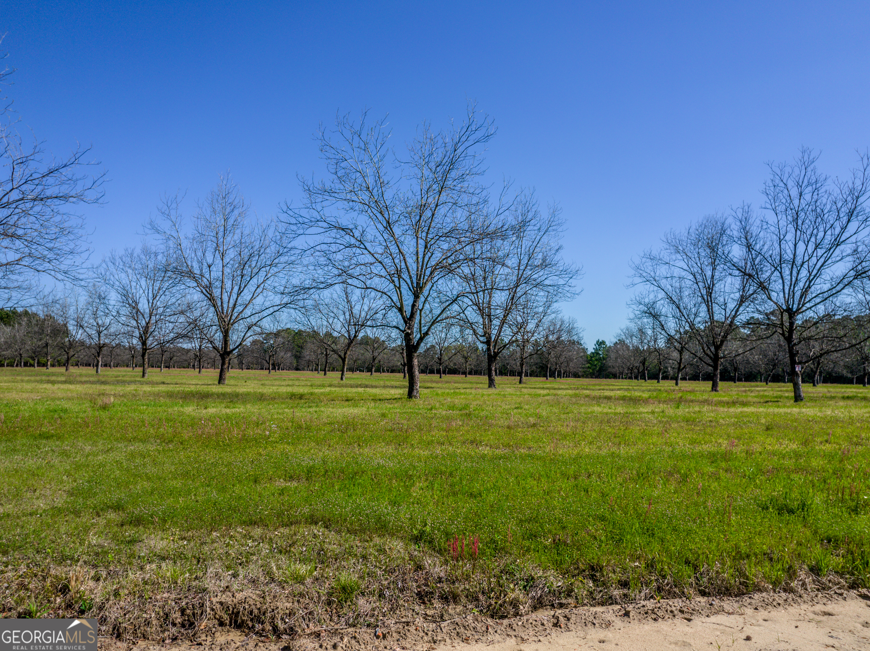 0 Kermit Road Cobbtown, GA 30420 - Photo 3 of 12