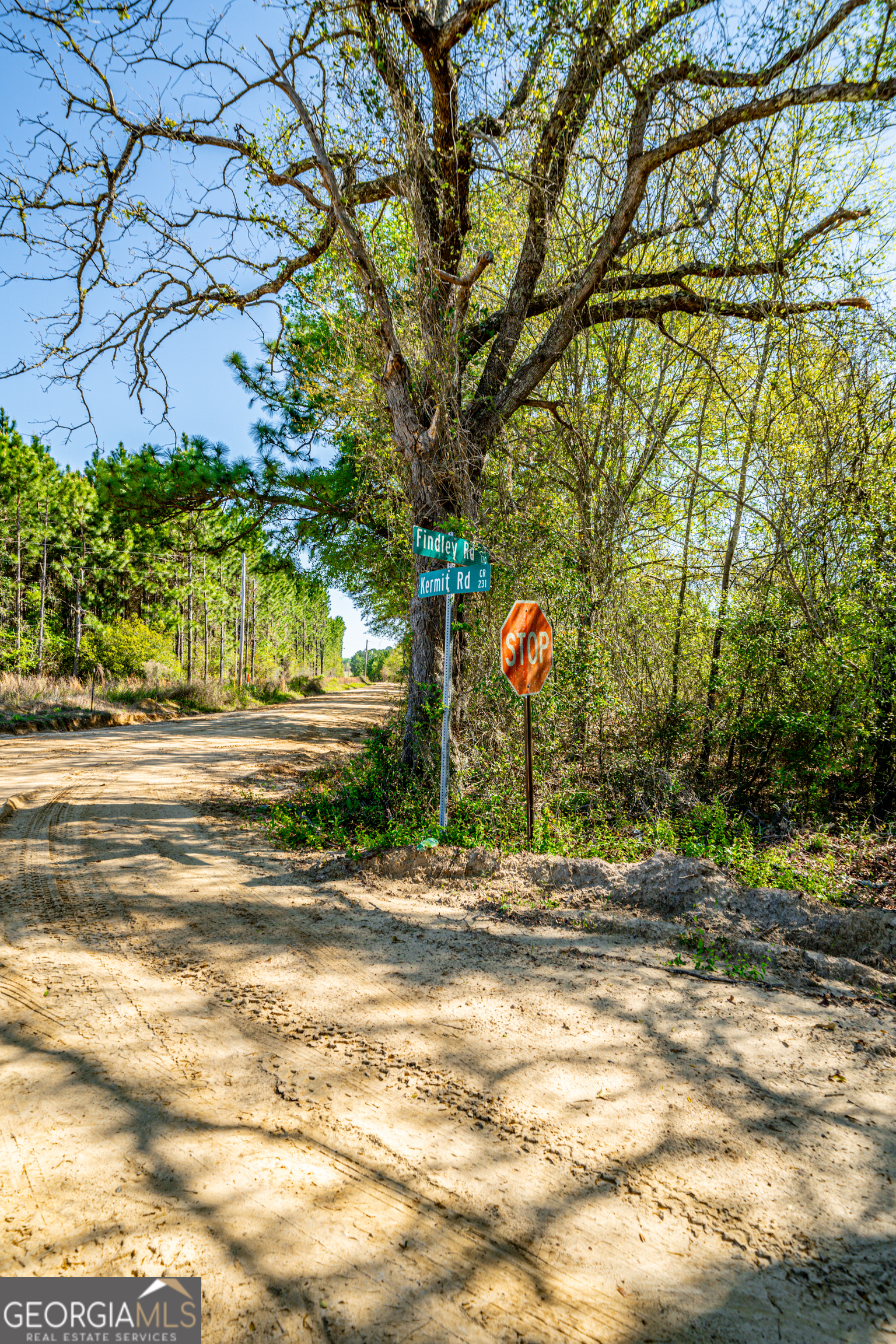 0 Kermit Road Cobbtown, GA 30420 - Photo 5 of 12