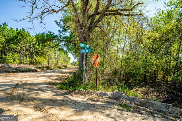 $416,850 | 0 Kermit Road, Cobbtown, GA 30420