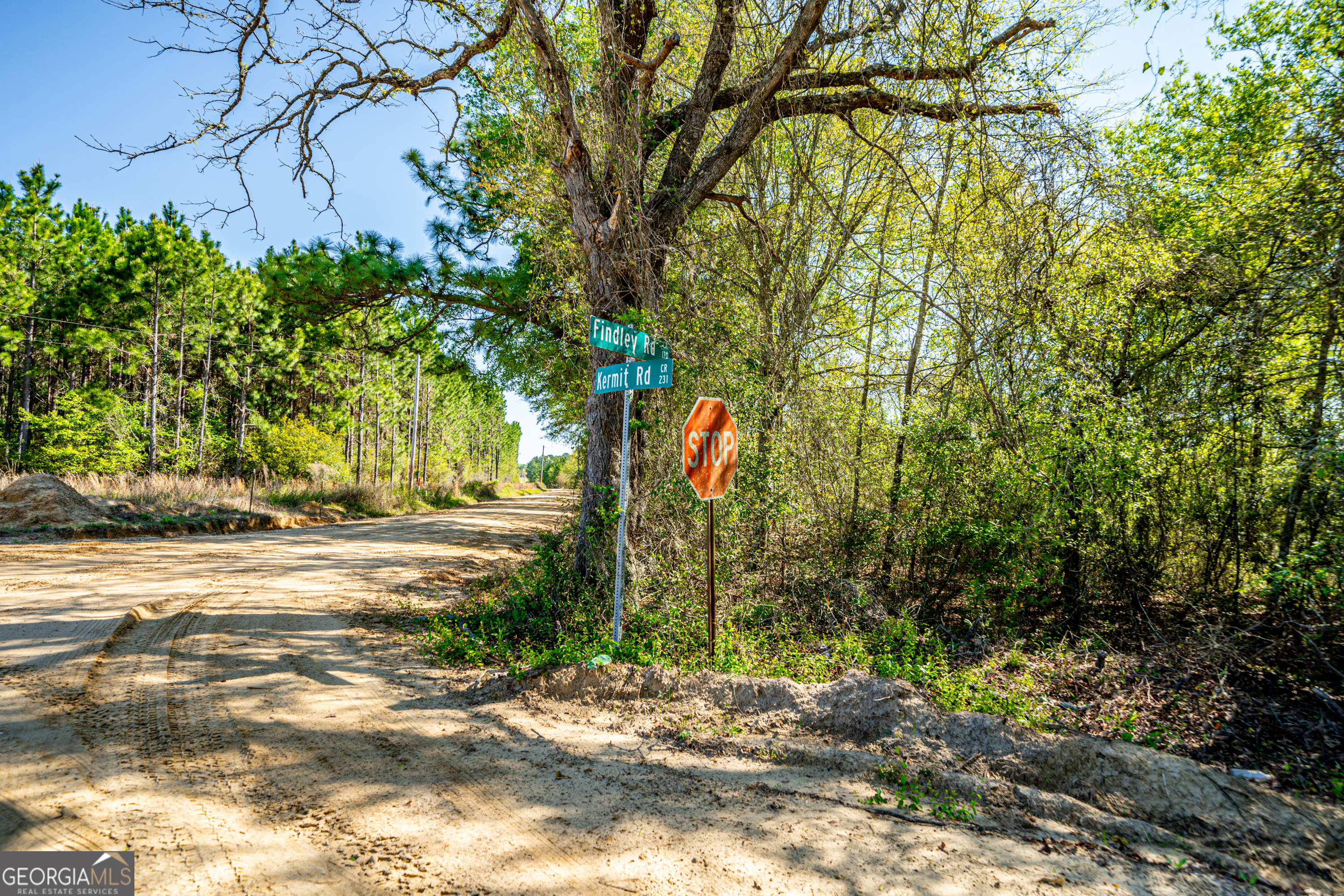 0 Kermit Road Cobbtown, GA 30420 - Photo 6 of 12