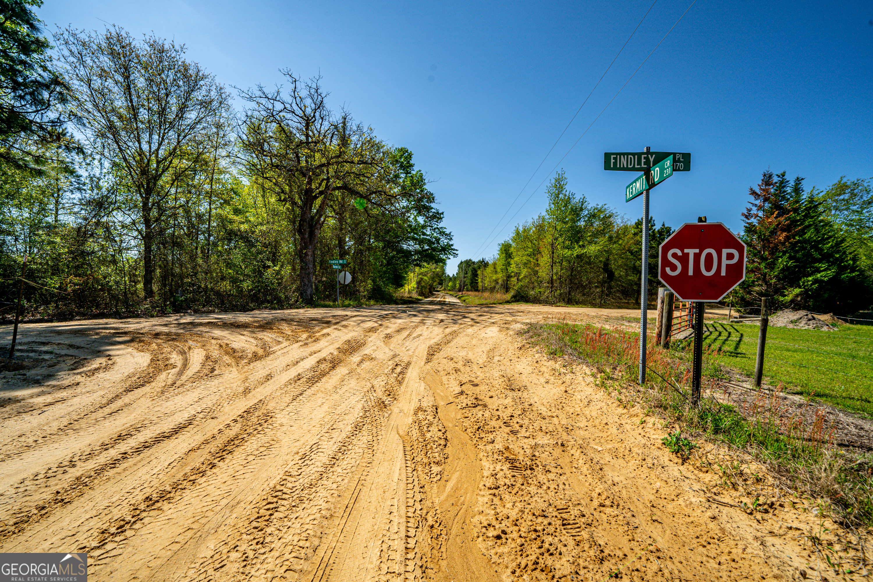 0 Kermit Road Cobbtown, GA 30420 - Photo 7 of 12