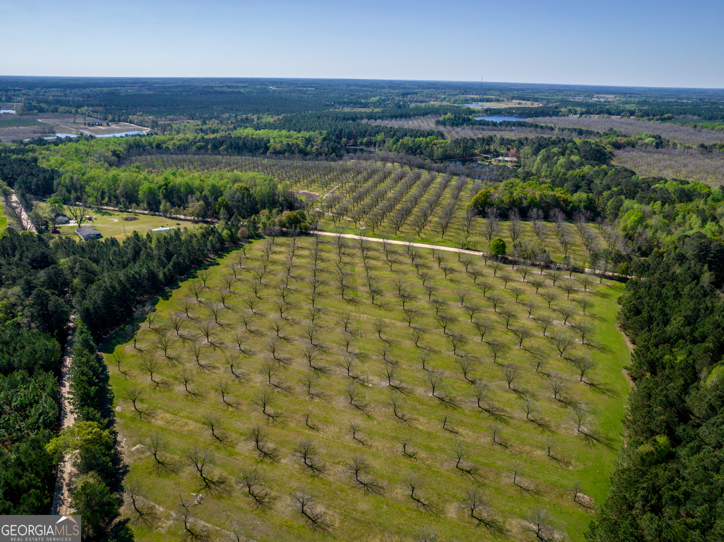 0 Kermit Road Cobbtown, GA 30420 - Photo 8 of 12