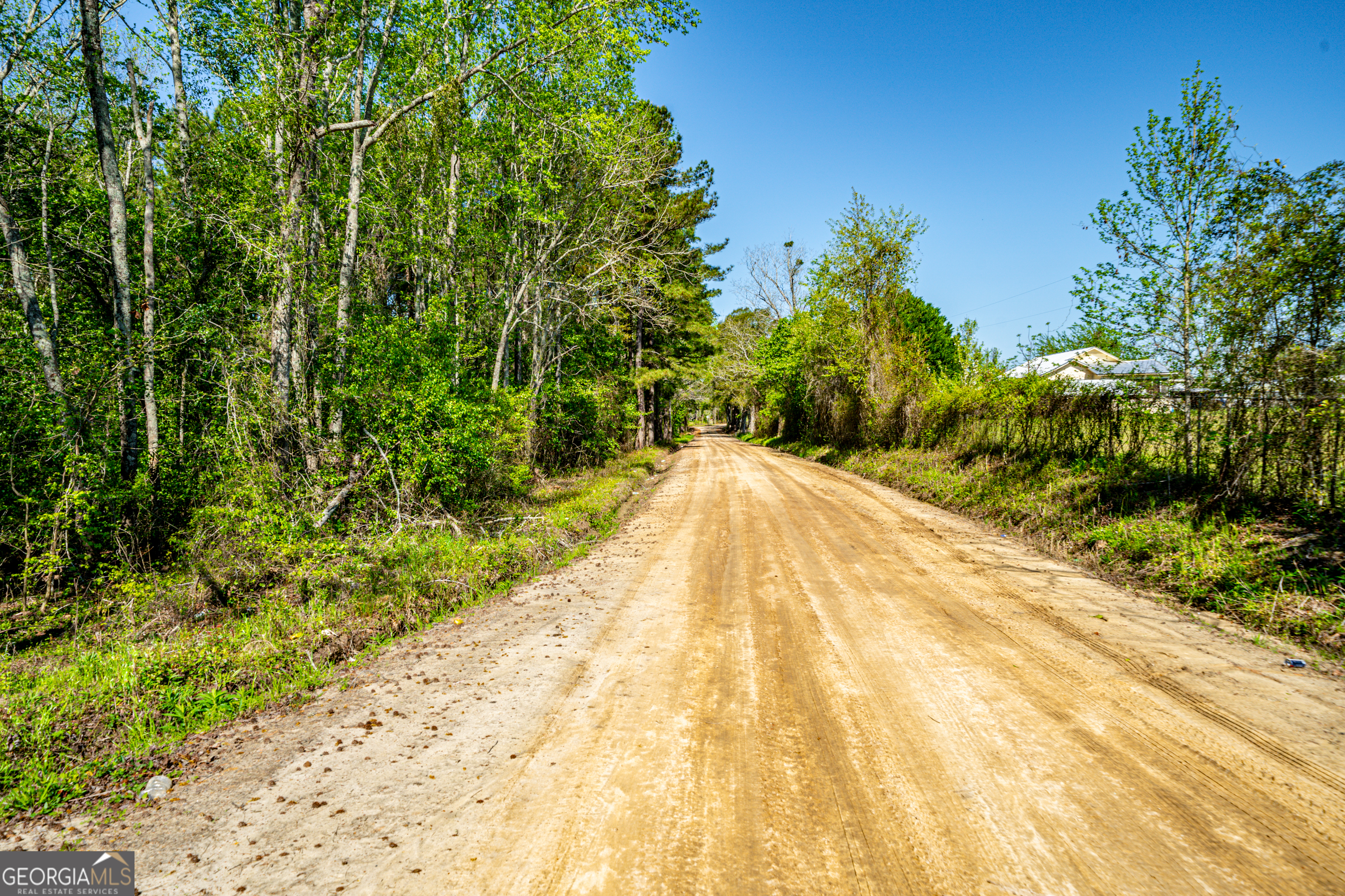 0 Kermit Road Cobbtown, GA 30420 - Photo 10 of 12