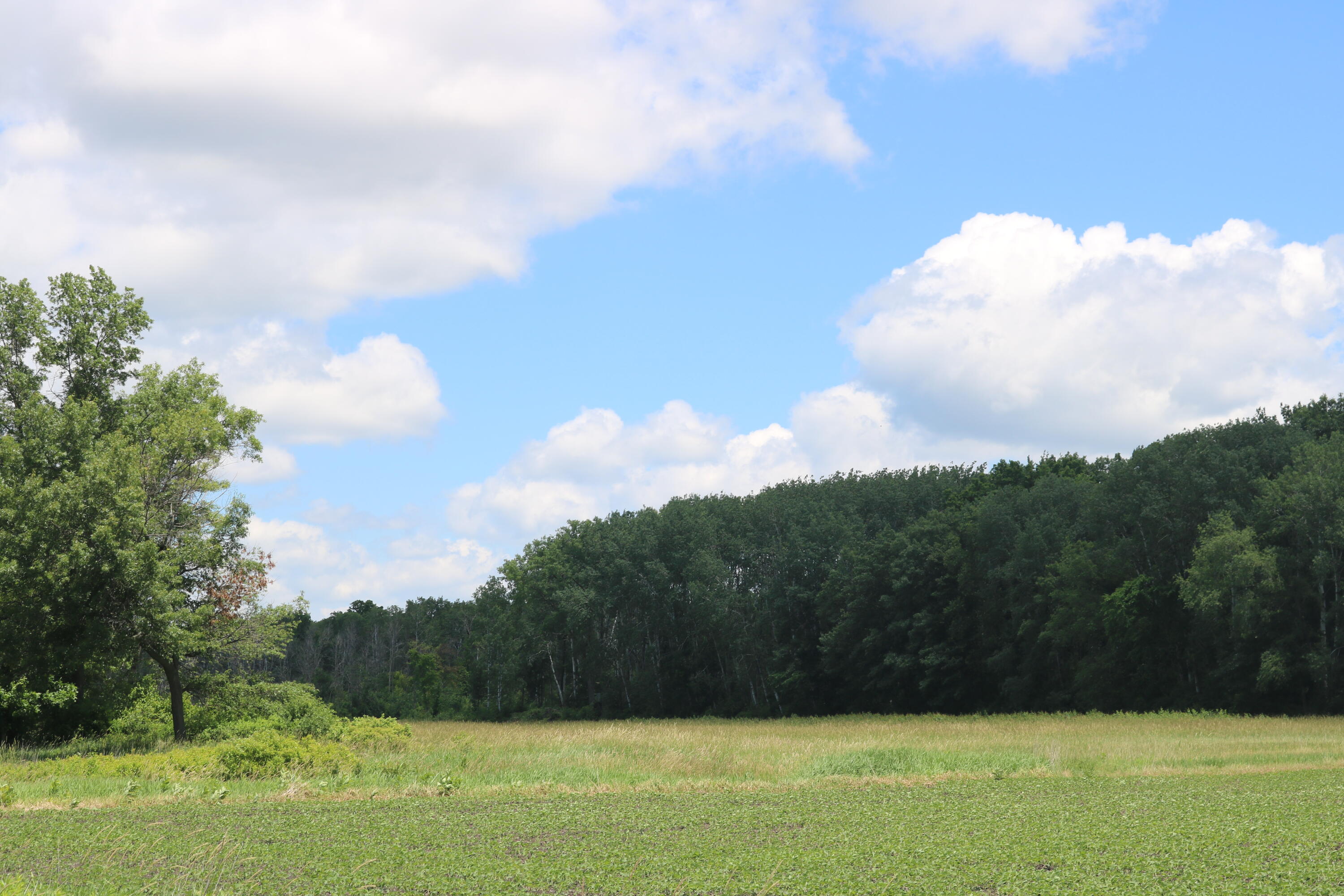 5 5 Mile Road Watertown, WI 53098 - Photo 2 of 17 IMG_1583 - Copy