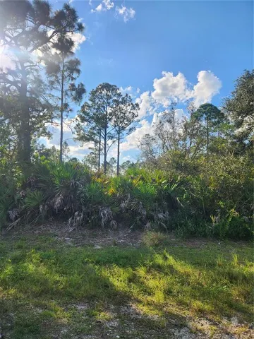 a view of a fire pit with large trees