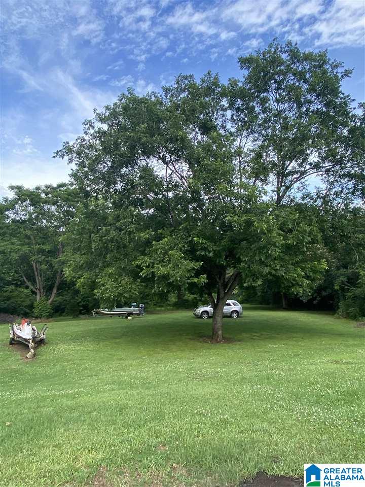 4018 County Road 495 Verbena, AL 36091 - Photo 15 of 44