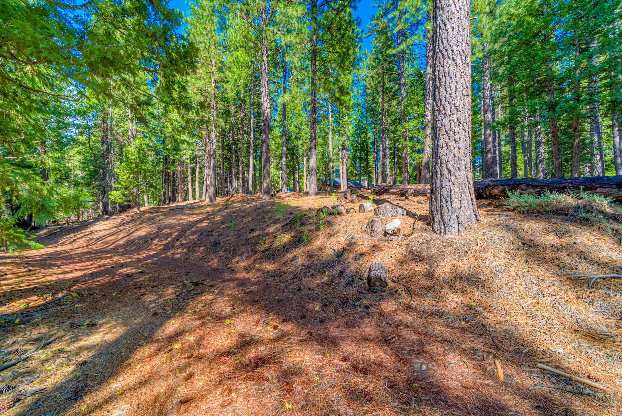 954 Red Fox Road Clio, CA 96106 - Photo 5 of 22