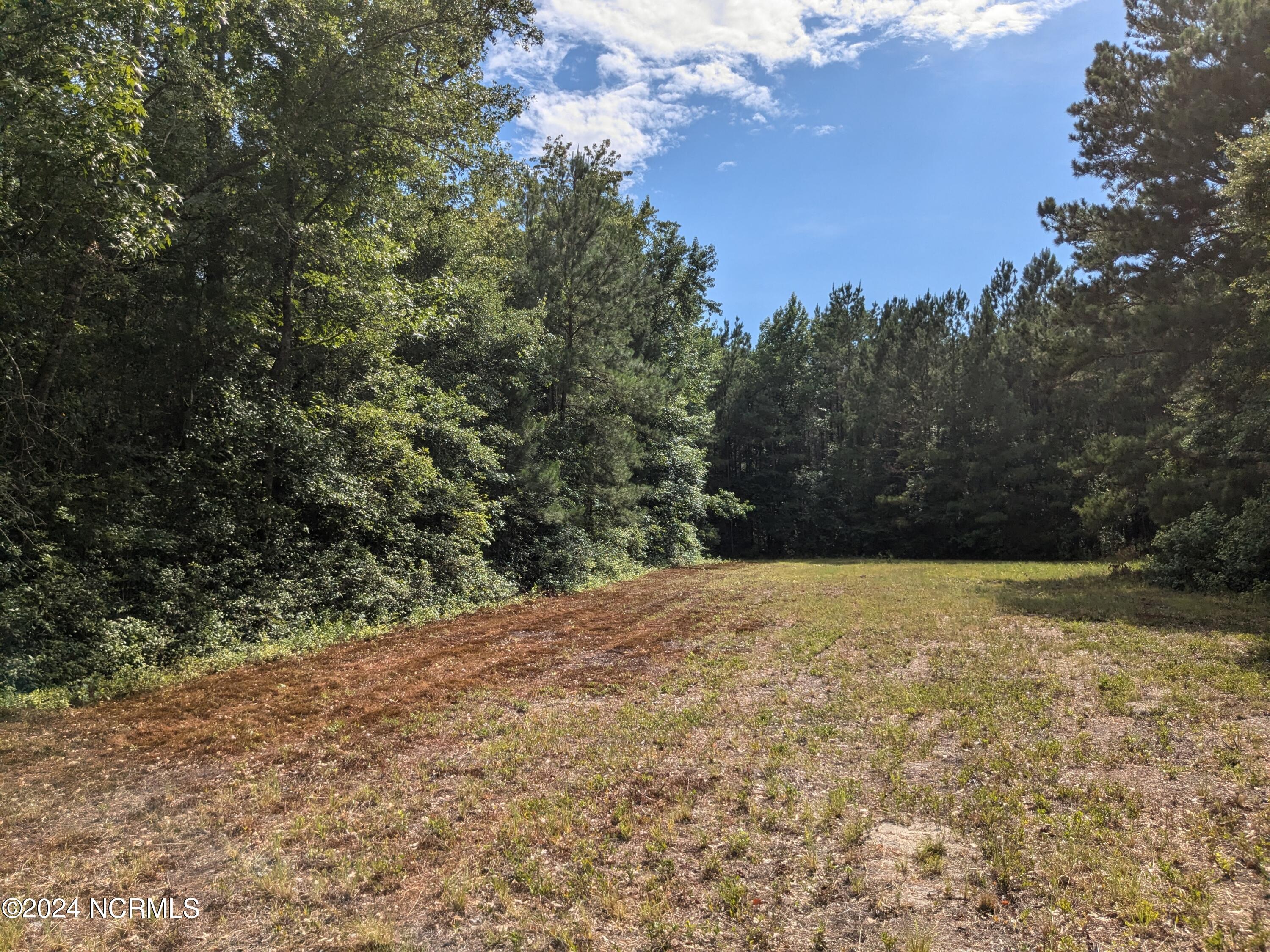 0 Montague Road Currie, NC 28435 - Photo 17 of 28 PXL_20240706_201532079