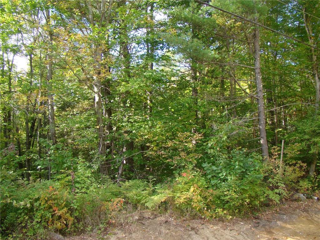 0 Tuell Hill Road Sumner, ME 04292 - Photo 3 of 4 Wooded acreage is perfect for...