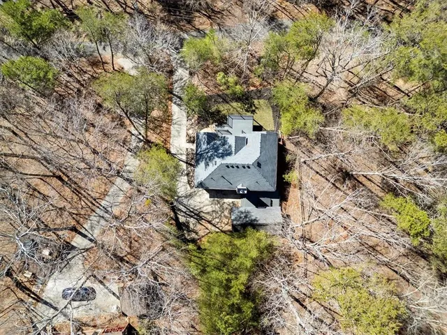 a view of statue in a garden