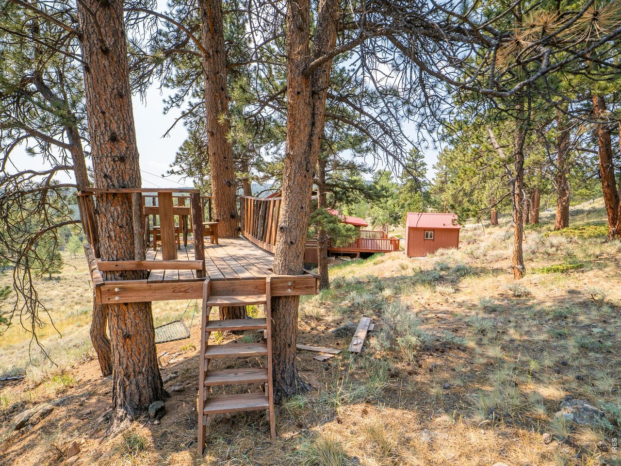 296 Caddo Road Red Feather Lakes, CO 80545 - Photo 41 of 50 Tree house.
