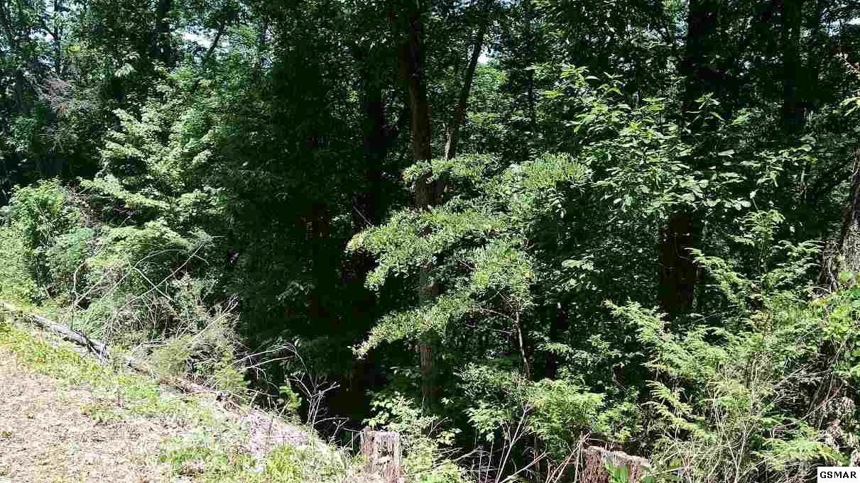 970 Ridgefield Drive Sevierville, TN 37876 - Photo 3 of 3